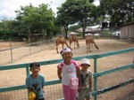 IMG 0454